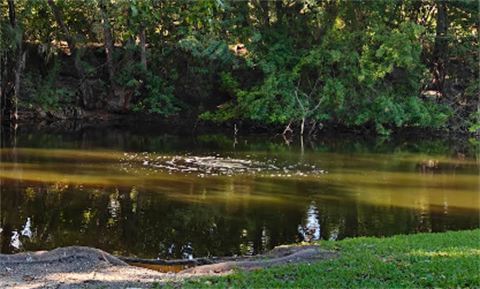 Cliff-Lake-Park.png