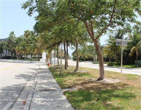 Cortez-Passive-Triangle-Park.png