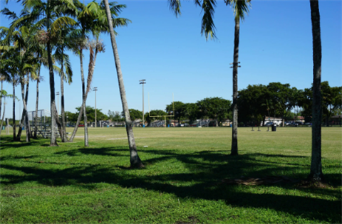 Mills-Pond-Park.png