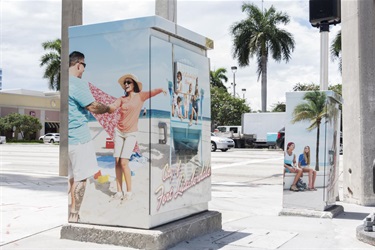 Utility Box Wrap Example 6