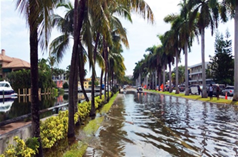 King Tides Flooding 380px by 250px.jpg
